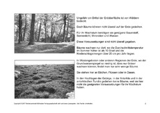 Bäume-Lesetext-SW-2.pdf